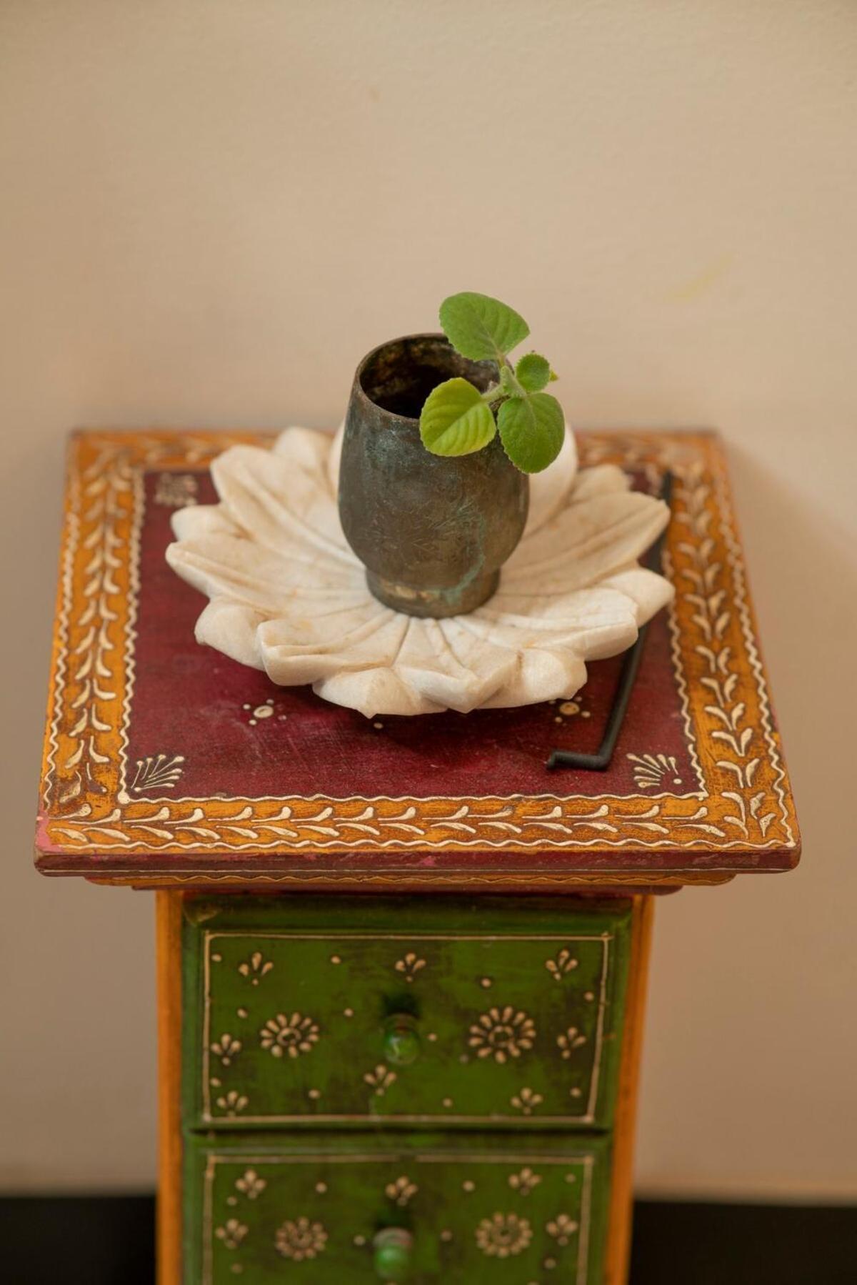 Santosh Villa - The House Of Antiques And Art Udajpur Exteriér fotografie