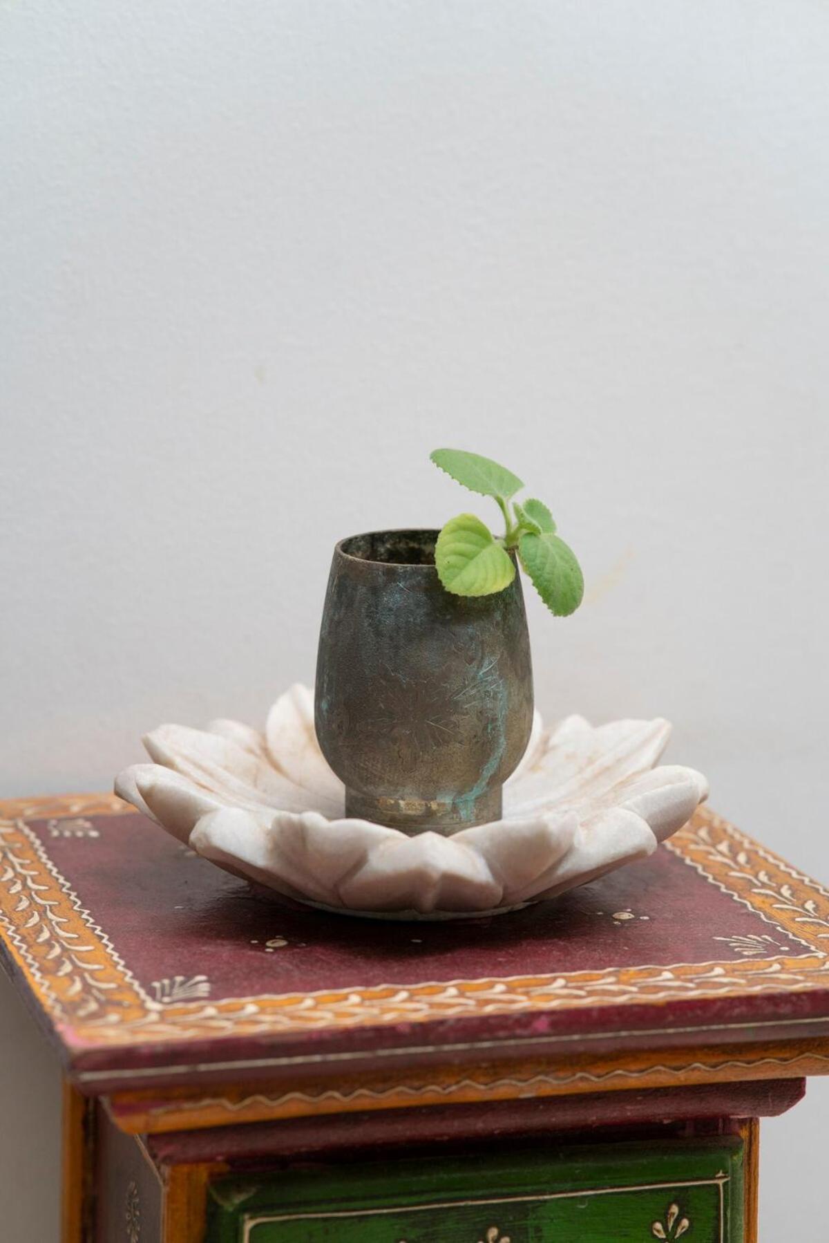 Santosh Villa - The House Of Antiques And Art Udajpur Exteriér fotografie
